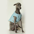 Cargar la imagen en la vista de la galería, Veste chaude pour lévrier de couleur bleue, confortable et élégante pour les chiens de race lévrier