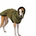 Charger l'image dans la visionneuse de la galerie, Veste élégante pour lévrier en olive avec capuche pour les journées fraîches
