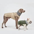 Charger l'image dans la visionneuse de la galerie, Veste imperméable chien de différentes couleurs pour garder votre animal au sec et confortable
