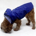 Cargar la imagen en la vista de la galería, Petit chien portant une veste imperméable chien bleue avec capuche pour protection contre la pluie