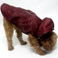 Cargar la imagen en la vista de la galería, Chien portant une veste imperméable chien rouge bordeaux avec capuche de la marque Oscar et Plume