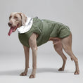 Charger l'image dans la visionneuse de la galerie, Veste imperméable chien en vert, parfaite pour garder votre animal au sec pendant les promenades sous la pluie
