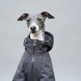 Charger l'image dans la visionneuse de la galerie, Veste imperméable lévrier en noir avec capuche pour chiens élégants et protégés des intempéries