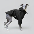 Charger l'image dans la visionneuse de la galerie, Veste imperméable lévrier noire avec capuche pour protéger votre chien des intempéries.