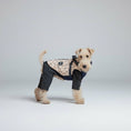 Charger l'image dans la visionneuse de la galerie, Chien portant une veste imperméable pour chien avec motif élégant et coupe confortable