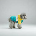 Charger l'image dans la visionneuse de la galerie, Petit chien portant une veste imperméable pour chien colorée jaune, turquoise et blanche avec capuche