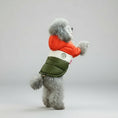 Charger l'image dans la visionneuse de la galerie, Chien gris portant une veste imperméable pour chien tricolore orange blanc vert avec capuche