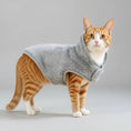 Charger l'image dans la visionneuse de la galerie, Veste polaire pour chat en gris avec capuche pour garder votre animal au chaud