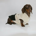 Cargar la imagen en la vista de la galería, Veste polaire pour teckel en beige et noir, idéale pour garder votre chien au chaud