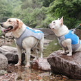 Carica l'immagine nel visualizzatore della galleria, Veste rafraîchissante pour grand chien en gris et bleu, idéale pour les promenades par temps chaud