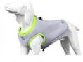 Carica l'immagine nel visualizzatore della galleria, Veste rafraîchissante pour chien gris clair avec bordure vert citron conçue par Oscar et Plume
