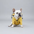Cargar la imagen en la vista de la galería, Chien portant un vêtement de pluie pour chien jaune avec capuche assis sur un banc en bois