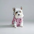 Carica l'immagine nel visualizzatore della galleria, Petit chien portant un vêtement de pluie pour chien rose avec capuche et boutons noirs