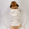 Cargar la imagen en la vista de la galería, Bouledogue français portant un imperméable pour bouledogue français beige avec capuche assis sur une chaise blanche