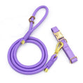 Charger l'image dans la visionneuse de la galerie, Laisse et collier personnalisable pour chien violet avec finitions dorées par Oscar et Plume