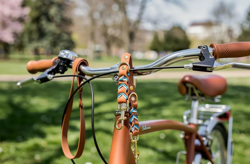 Comment transporter son chien à vélo et en moto : guide complet