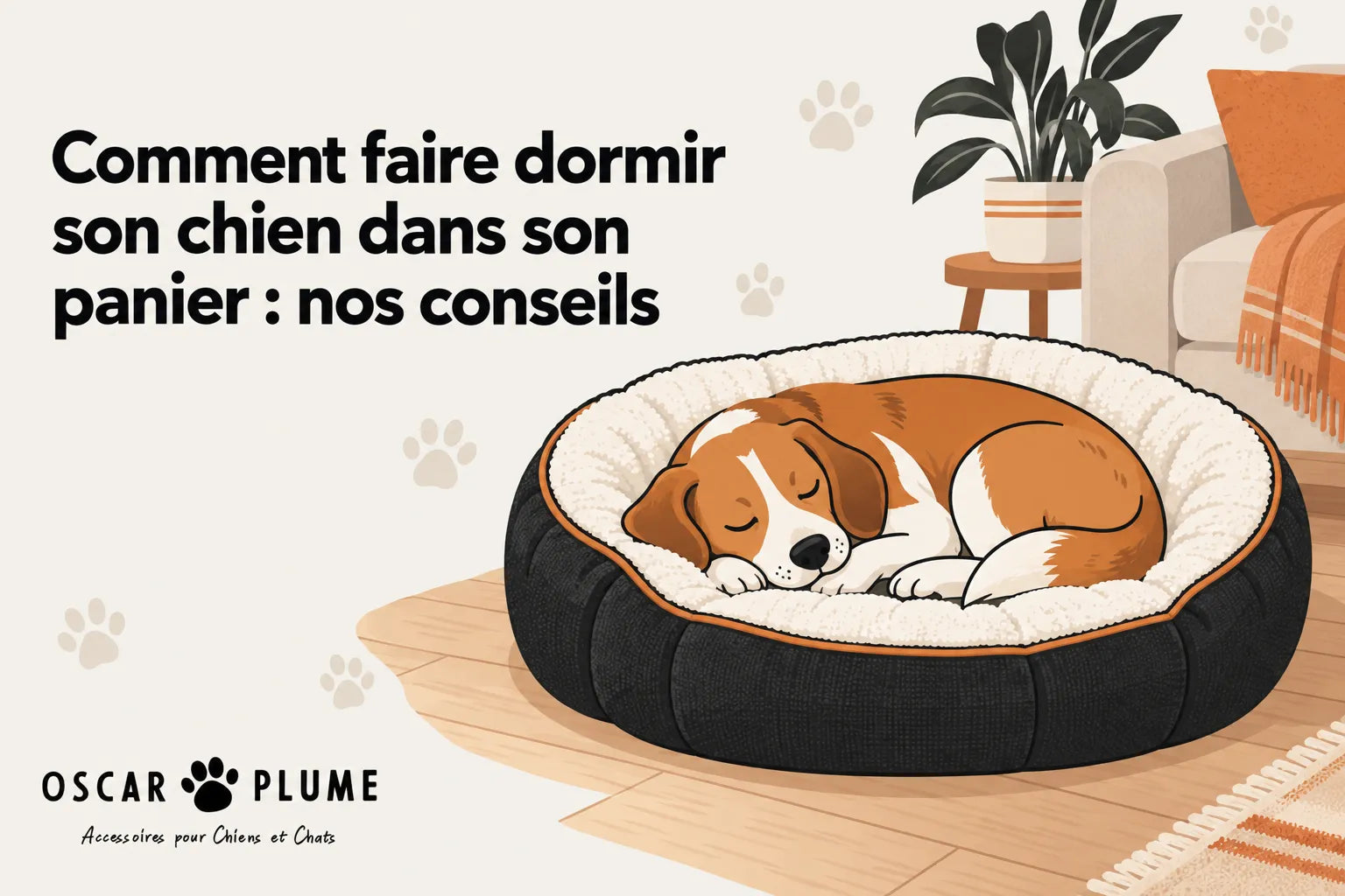 Comment faire dormir son chien dans son panier : nos conseils