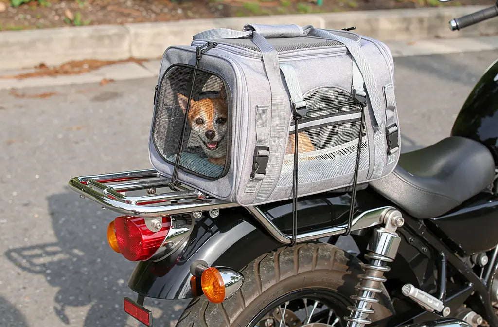 Sac moto vélo pour chien et chat : guide transport 2026