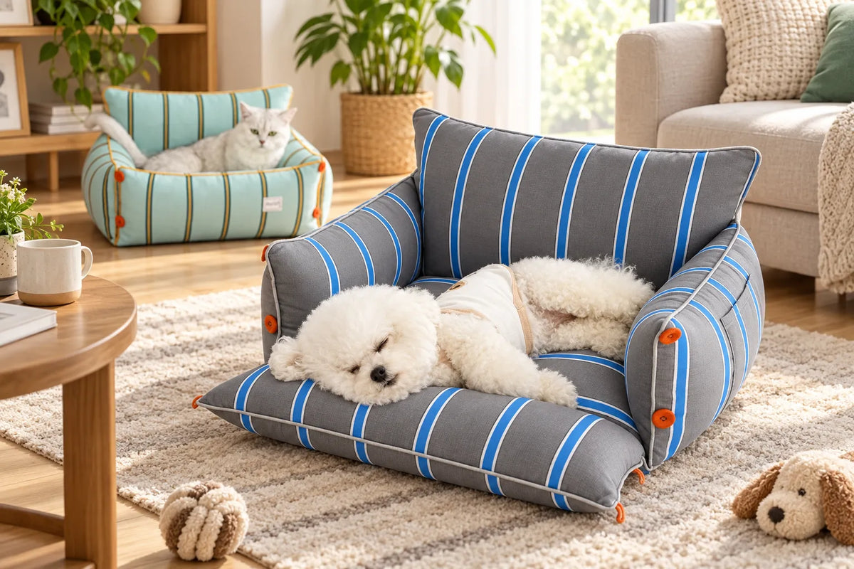 Couchage chien orthopédique : choisir un panier ou un lit