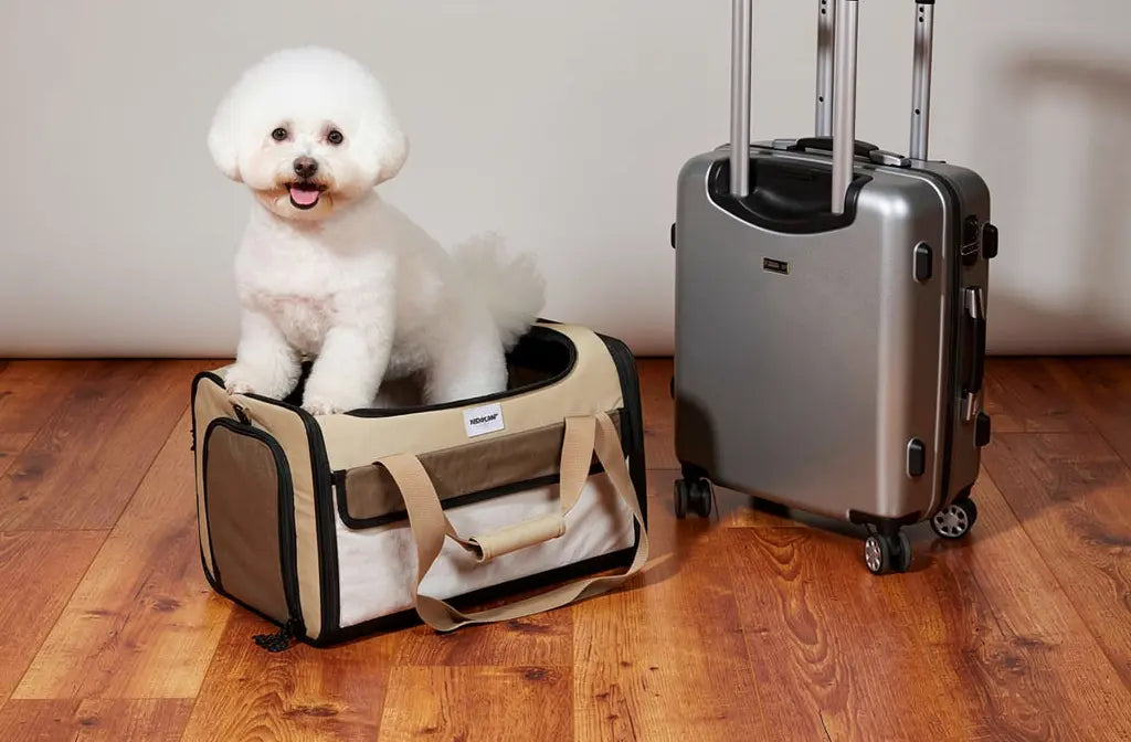 Comment choisir un sac de transport pour chien : guide complet