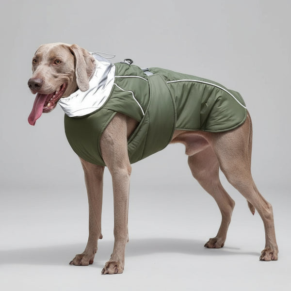 Vêtements pour chiens : manteau imperméable pour la pluie