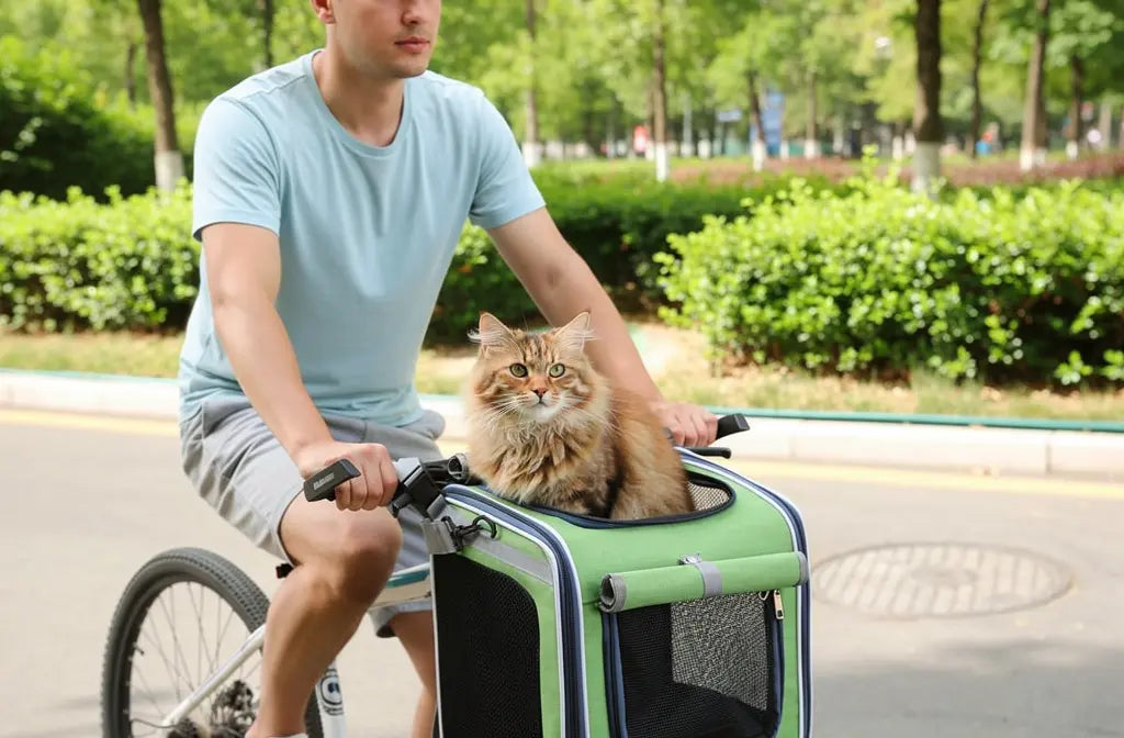 Transporter son chat à vélo : guide sécurité et équipements