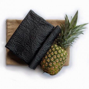 Matériaux pour collier cuir végan pour chien, incluant un tissu noir et un ananas frais