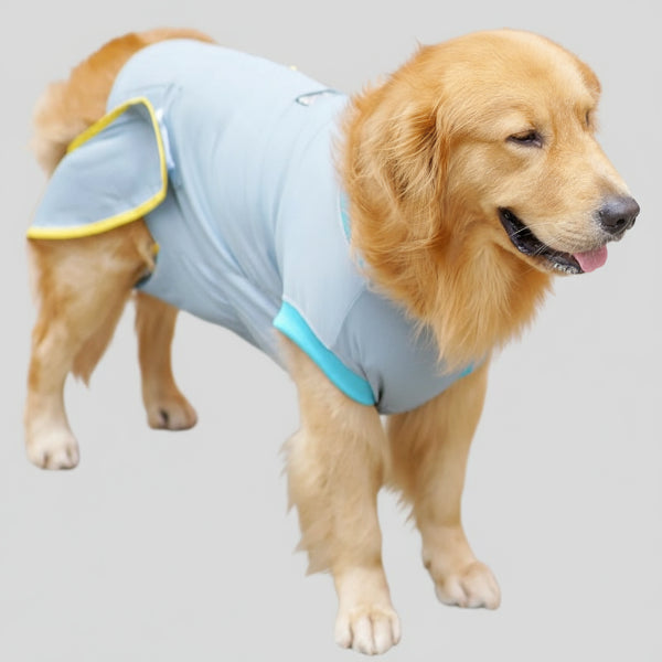 Body post-opération pour chien : protection après stérilisation