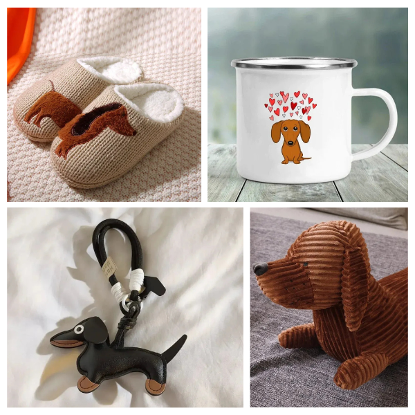 Boutique accessoire chien : colliers, laisses et jouets tendance