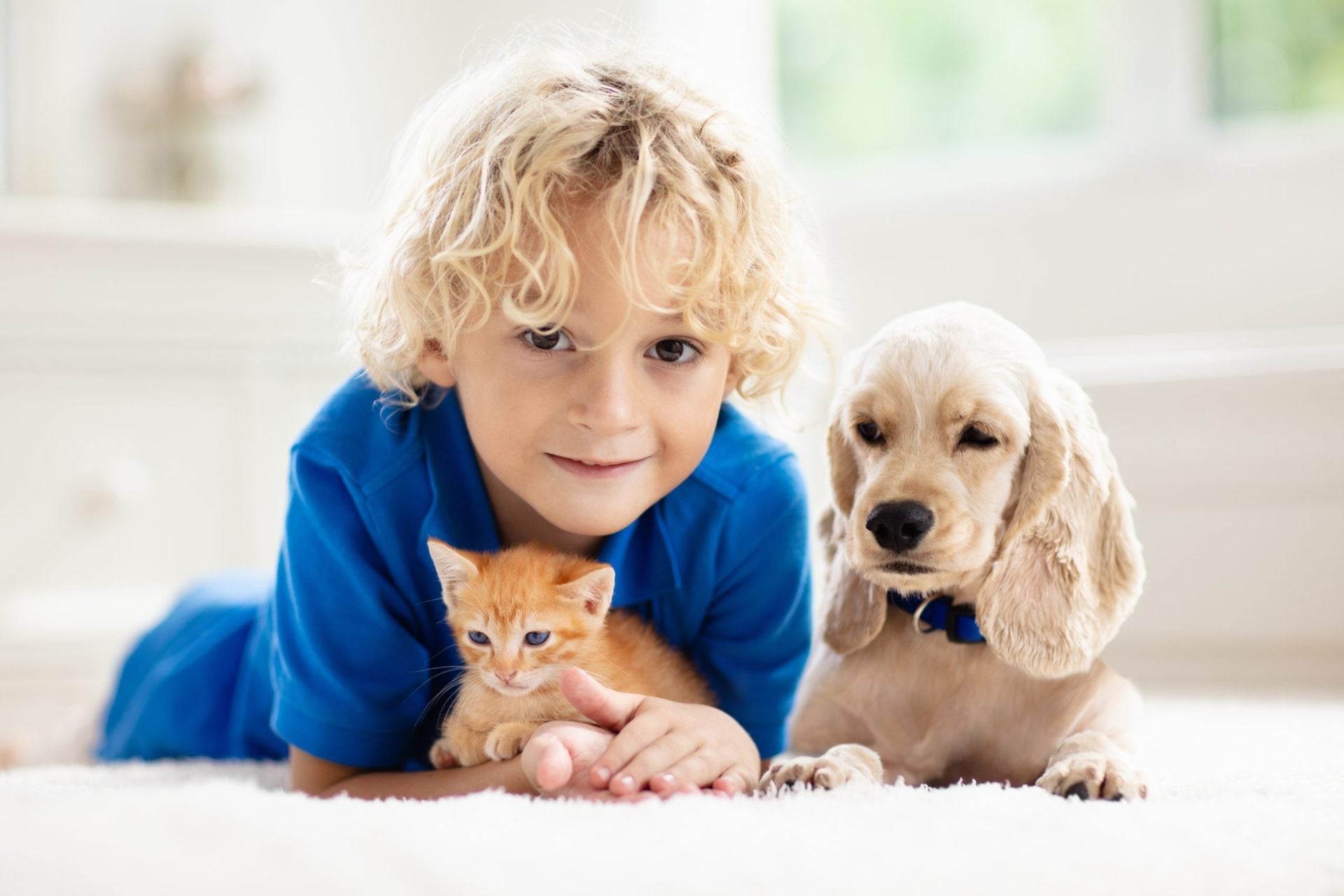 Un enfant souriant avec un chaton et un chiot, illustrant la comparaison attention chiens chats