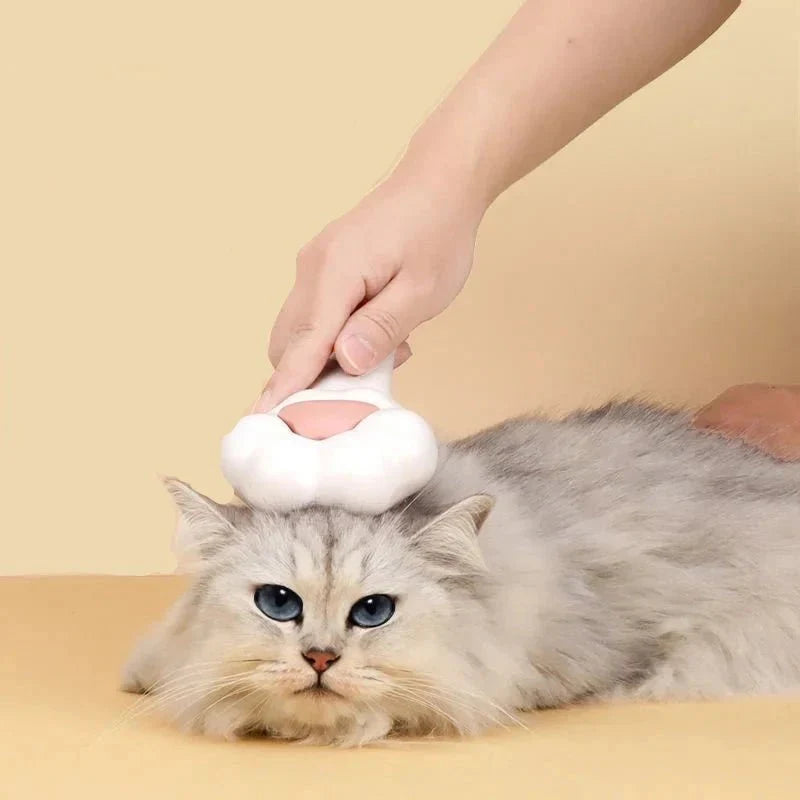 Higiene y cuidado para su gato : esenciales para su felino