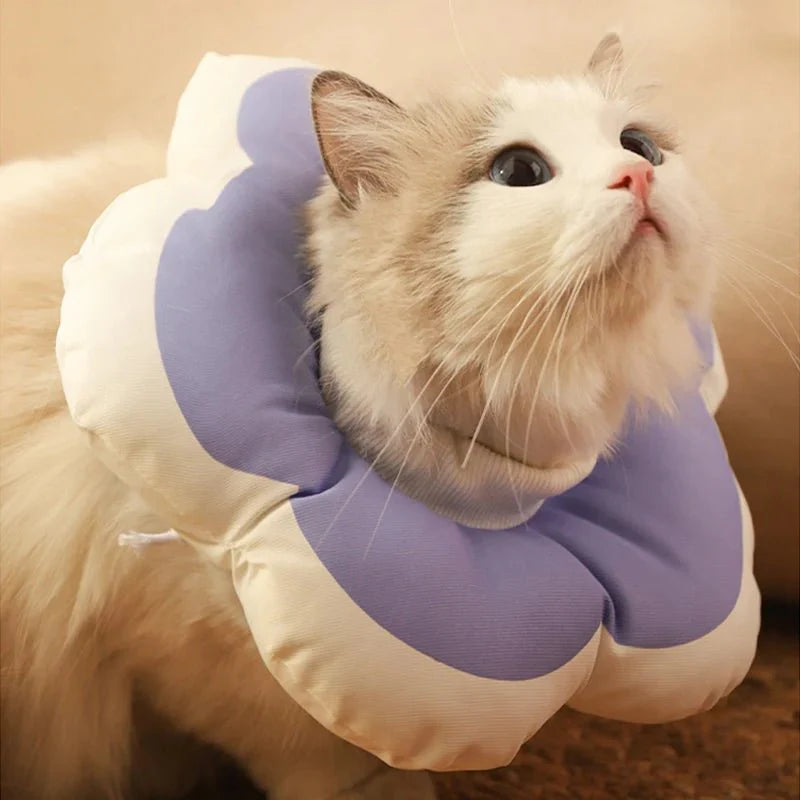 Collarín Elegante para Gatos: Estilo y Protección para tu Felino