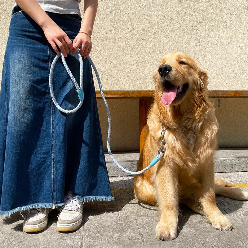 Deja para perro diseño elegante