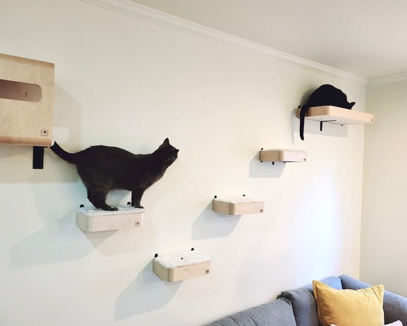 Jeu Et Escalade Durable Et Résistant Pour Chat