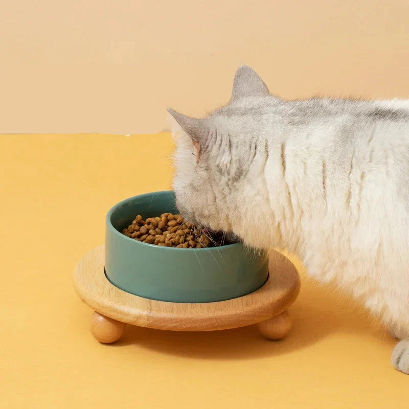 Comedero y Botella para Gato: Accesorio de Viaje