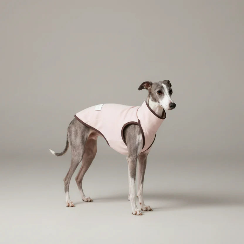 Collection Vêtements Printemps/Été Pour Lévrier