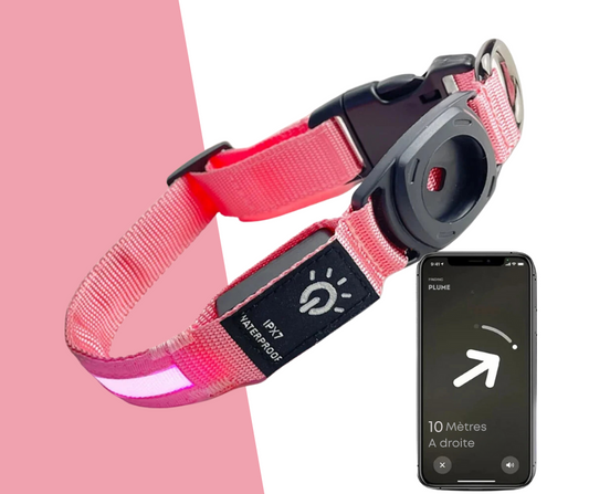 Collier Led avec emplacement Airtag pour chien et chat Oscar et Plume Rose / S (30-39)cm