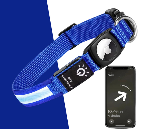 Collier Led avec emplacement Airtag pour chien et chat Oscar et Plume Bleu / S (30-39)cm