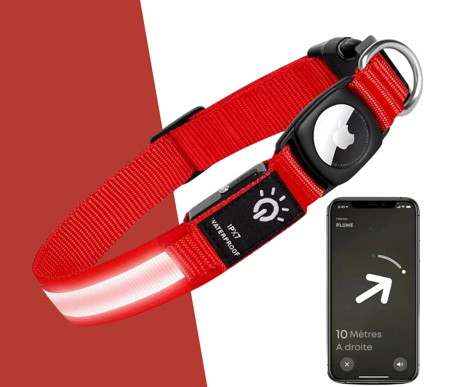 Collier Led avec emplacement Airtag pour chien et chat Oscar et Plume Rouge / S (30-39)cm