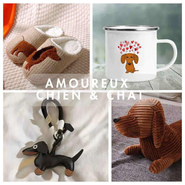 accessoires pour les amoureux des chats et des chiens.