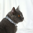 Load image into Gallery viewer, Collier à rivet et clochette en cuir durable pour chat Oscar et Plume
