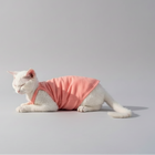 T-Shirt En Coton Confortable Pour Chat