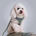 Load image into Gallery viewer, Harnais réglable, laisse et sac pour petit chien Oscar et Plume
