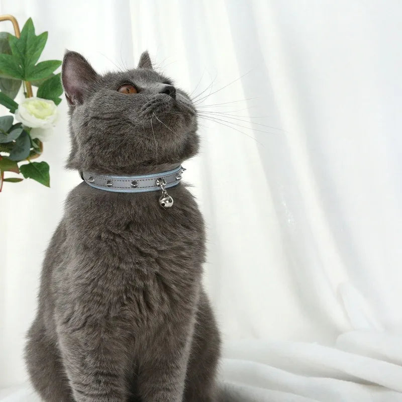 Collier à rivet et clochette en cuir durable pour chat Oscar et Plume