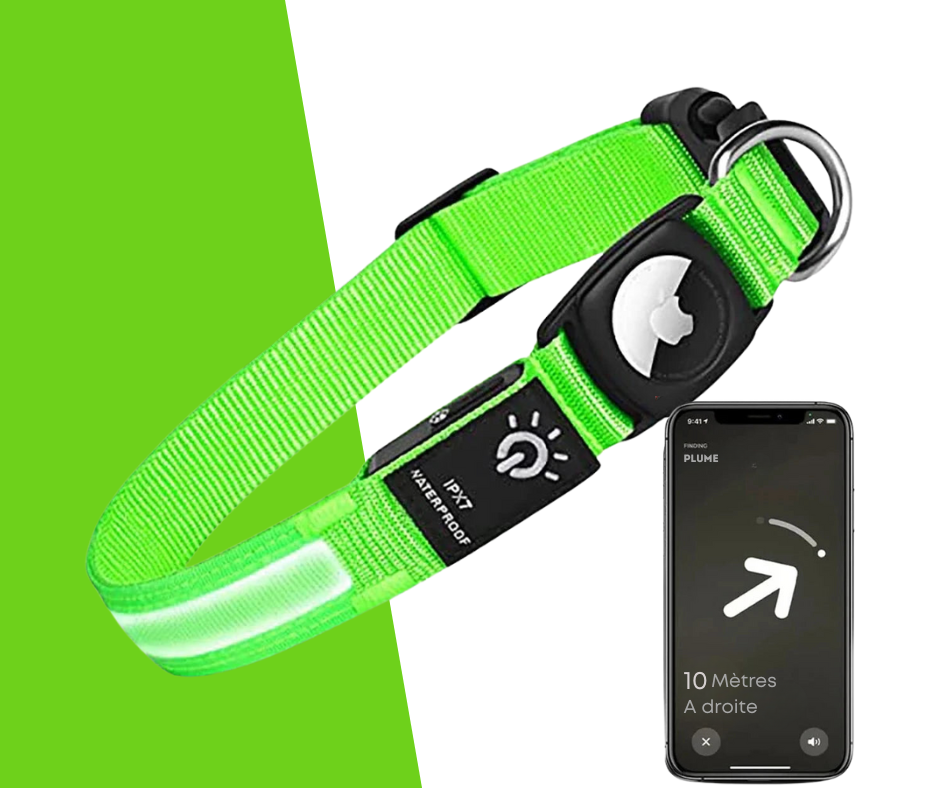 Collier Led avec emplacement Airtag pour chien et chat Oscar et Plume Vert / S (30-39)cm