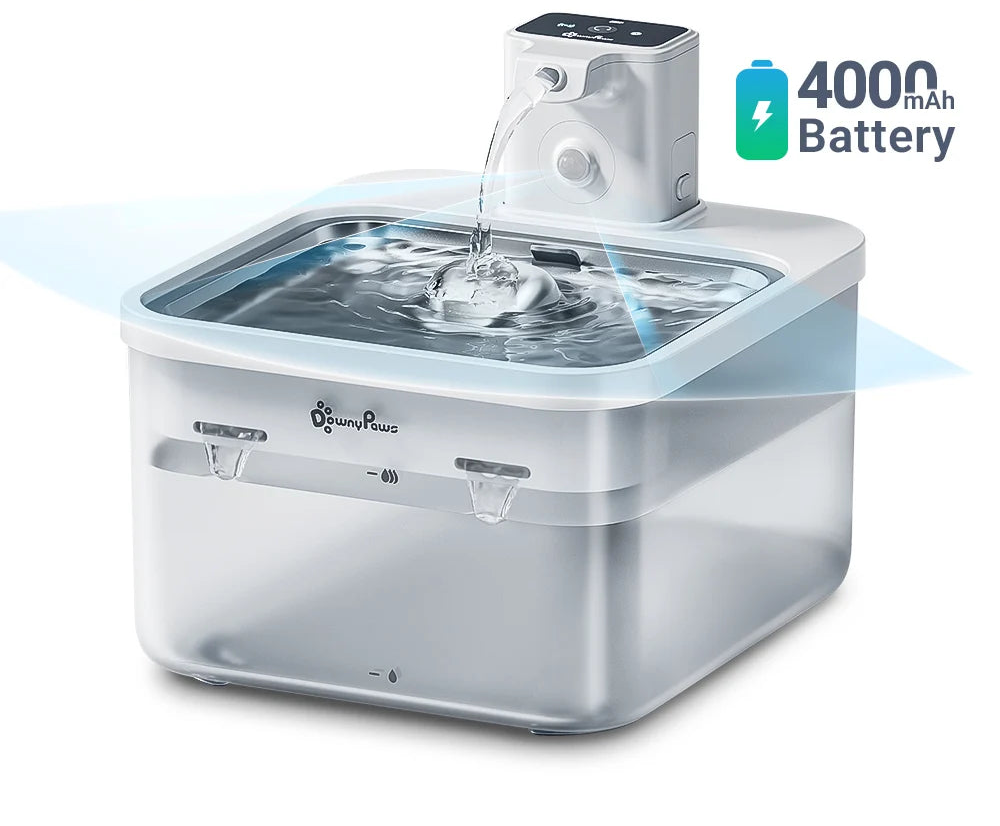 Fontaine Eau Automatique En Acier Inoxydable 2,5L Sans Fil Avec Batterie 4000mAh