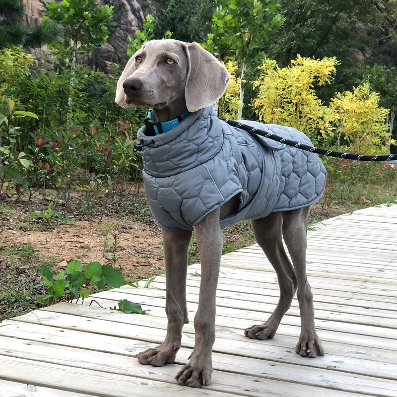 Vêtement d'hiver pour chien de grande taille