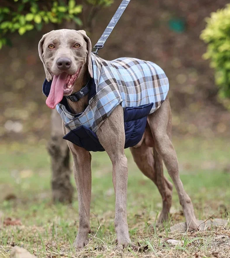 Manteau réversible pour chien