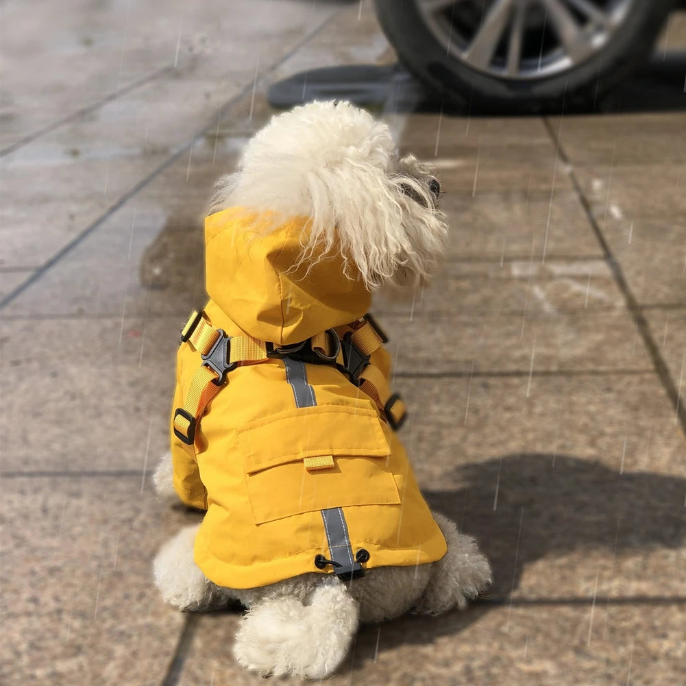 Imperméable pour chien avec capuche et anneau de laisse Oscar et Plume Beige / XS