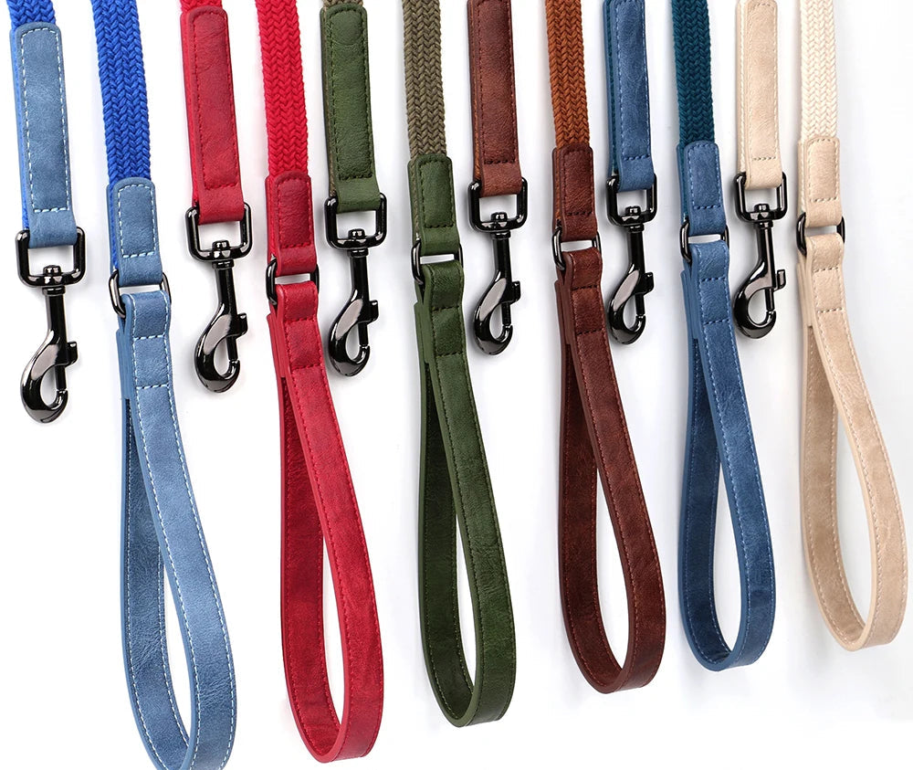 Laisse Pour Chien En Nylon Durable 1,5 M Avec Poignée En Cuir Robuste